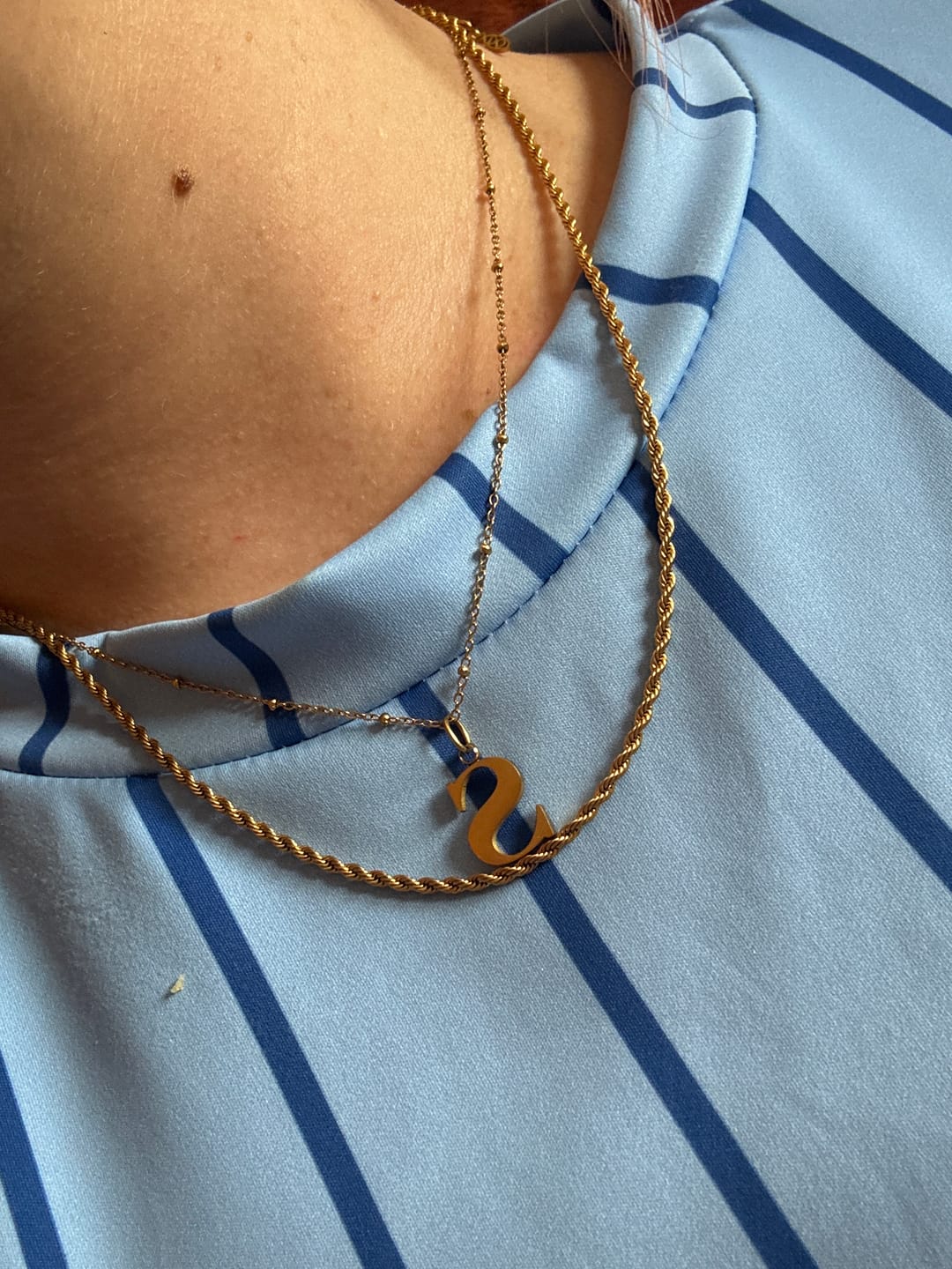 Customer photo review of Rope Necklace In Gold