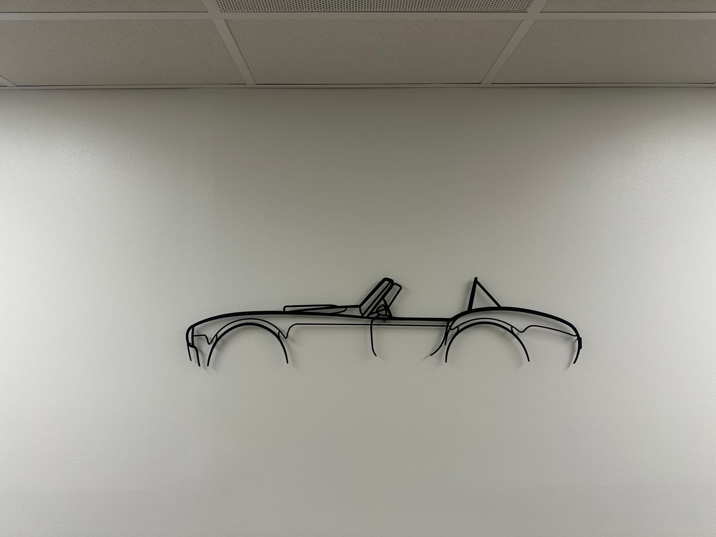 Customer photo review of Cobra 427 Classic Silhouette Metal Wall Art