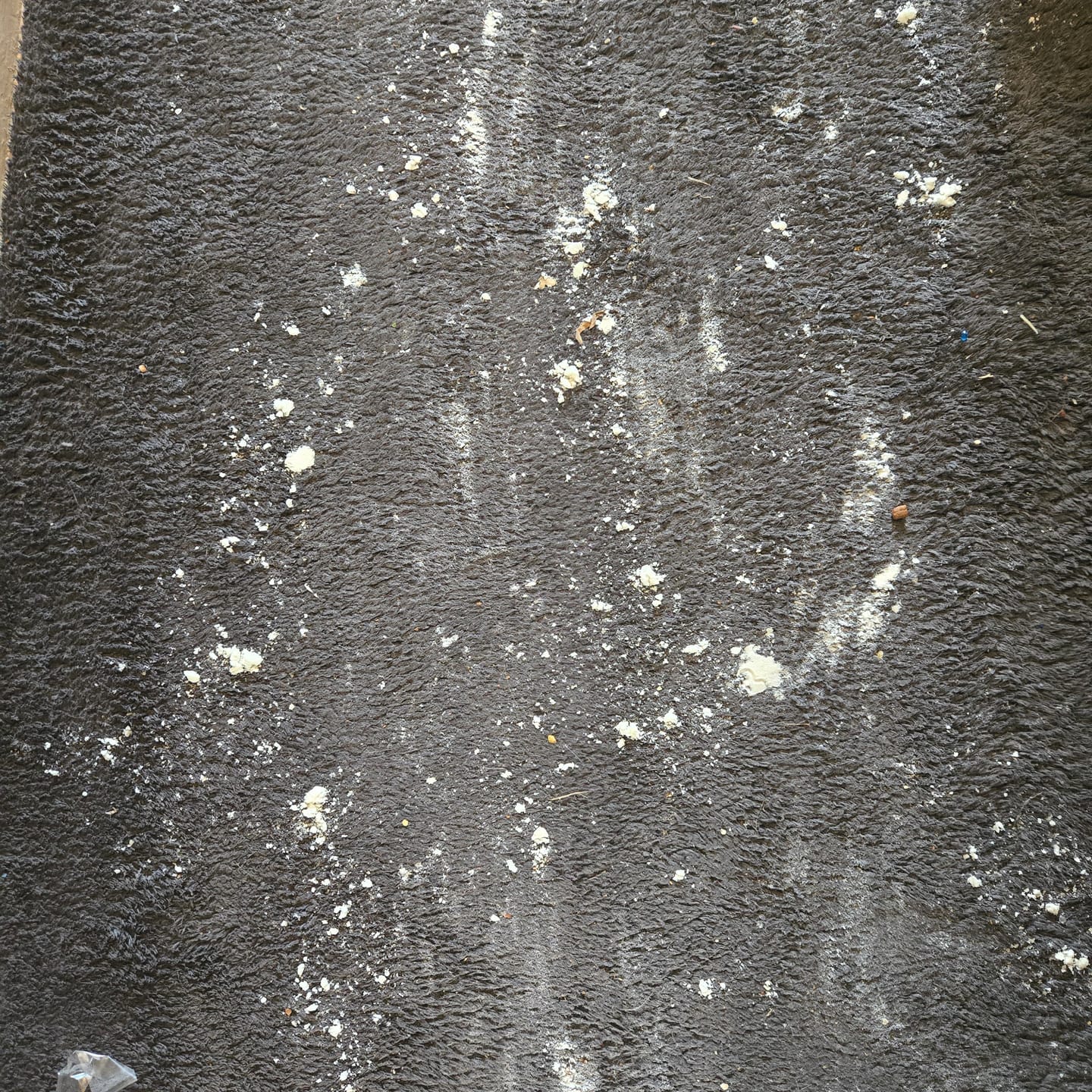 Customer photo review of 1KG Genie Carpet Freshener