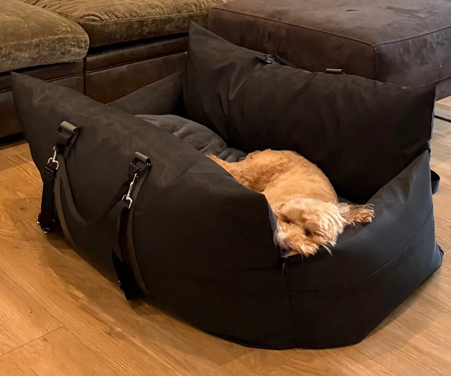 Customer photo review of Travel Dog Pod XL - Now With Isofix