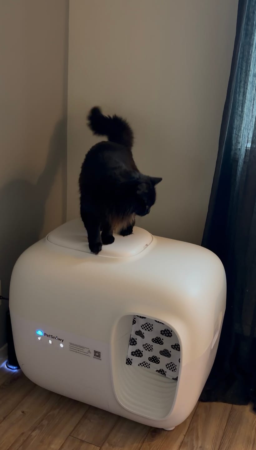 Customer photo review of Self-Cleaning Litter Box