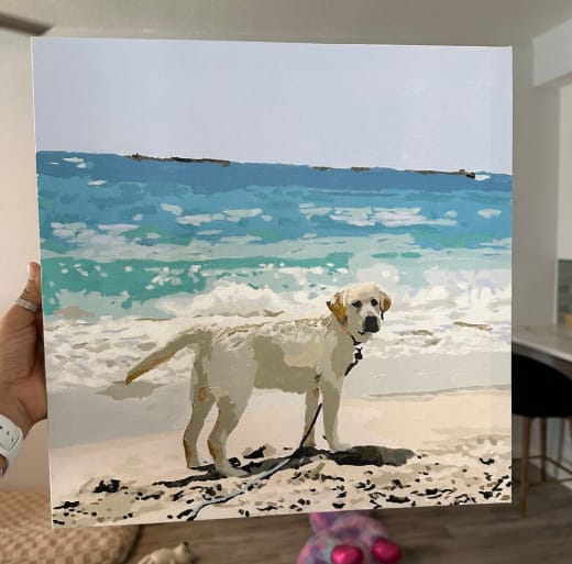 Customer photo review of Custom Paint By Numbers - Personalized Pet Portraits