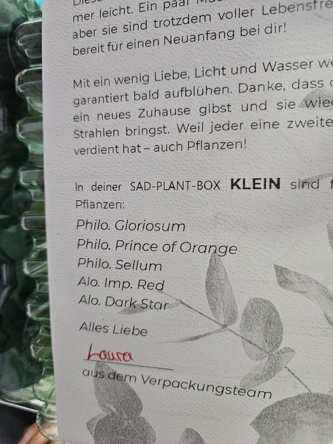 Customer photo review of SAD-PLANT-SET