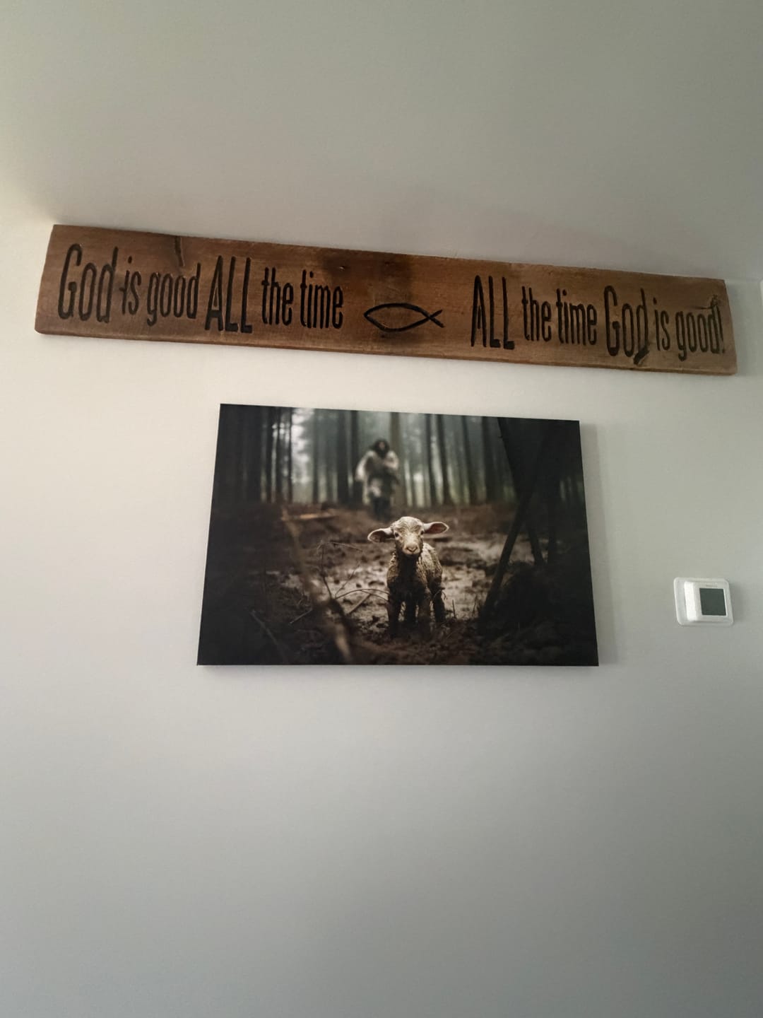 Customer photo review of Jesus Running After a Lost Lamb, Jesus and Lamb Picture, Wall Art Canvas