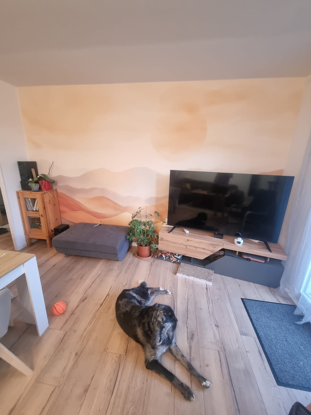 Customer photo review of Papier Peint Effet Nature