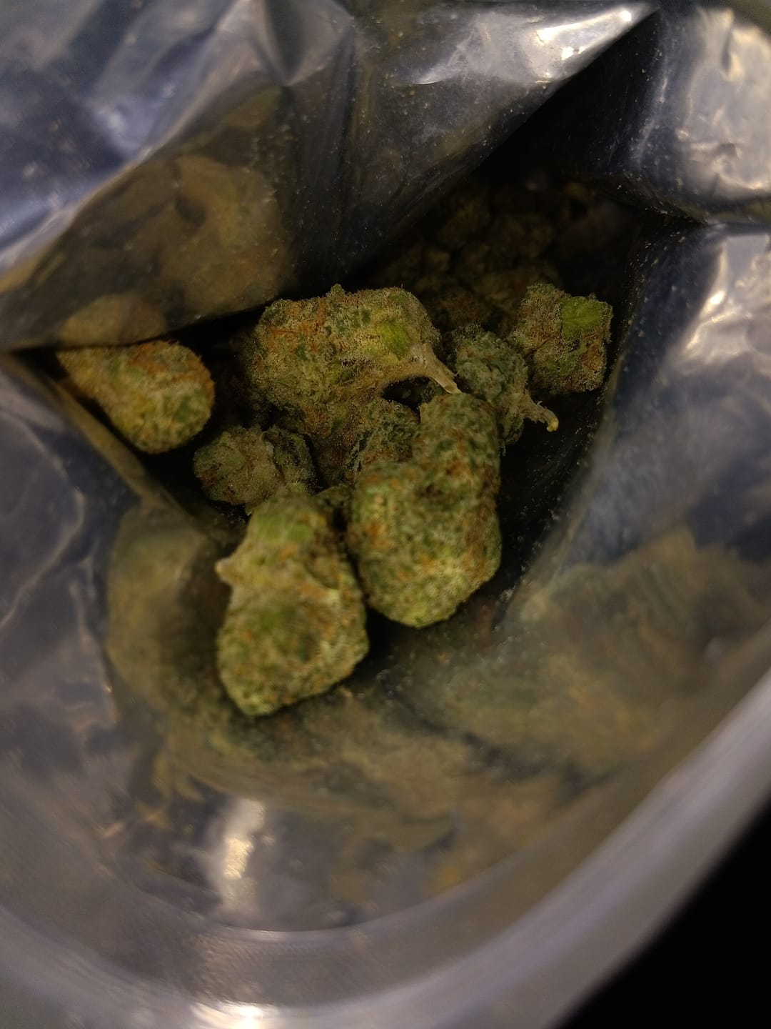 Customer photo review of OG Kush THCA Flower