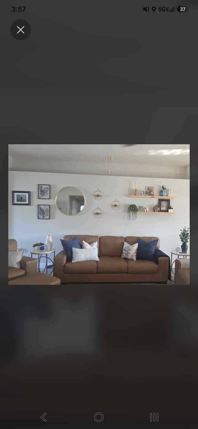 Customer photo review of Air Plant V-Hanger Trio