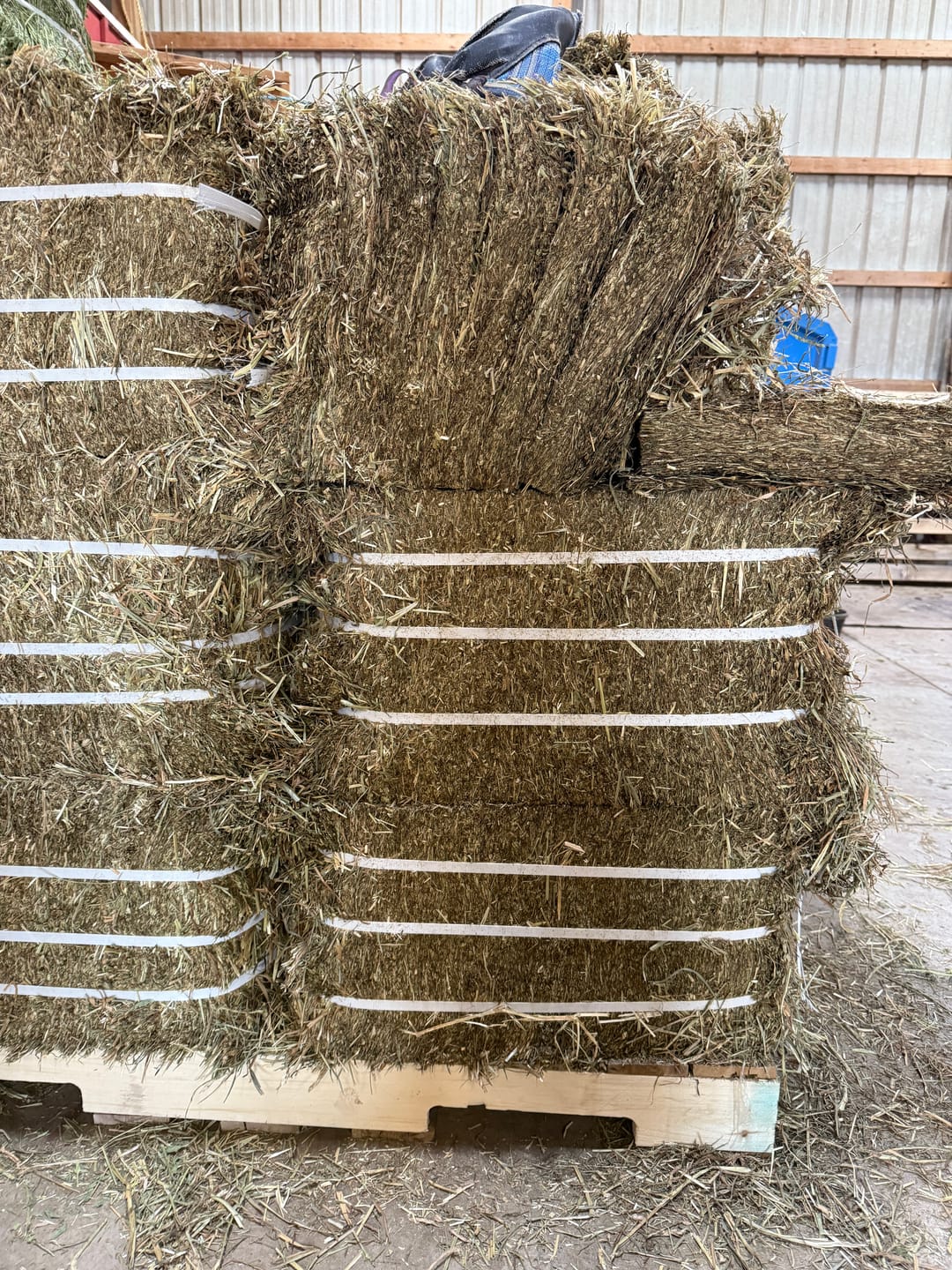 Customer photo review of Timothy Orchard Grass Hay (Click here for Qty Discount) Grass Hay (Buy More - Save More)(Includes delivery too!)