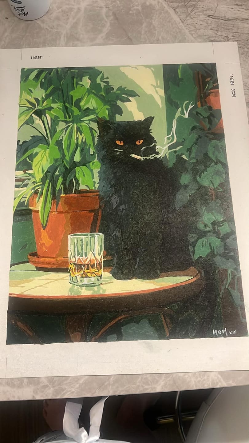 Customer photo review of Surprise Painting | Paint by Numbers