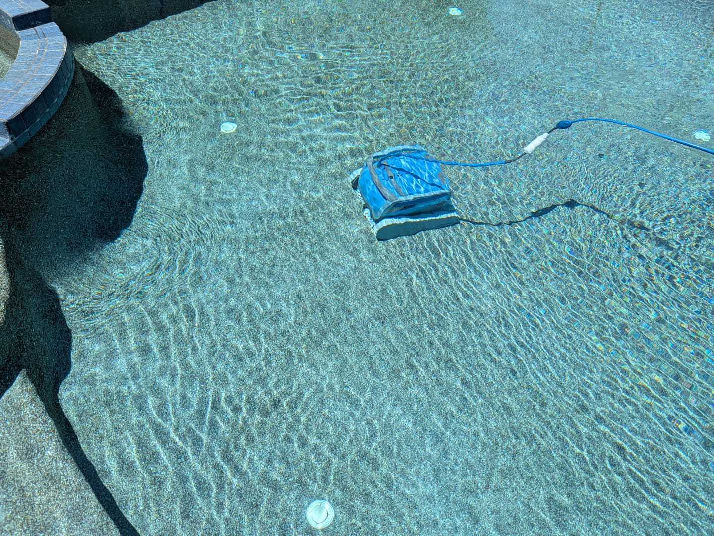 Customer photo review of Dolphin M600 Robotic Pool Cleaner - Enhanced Warranty