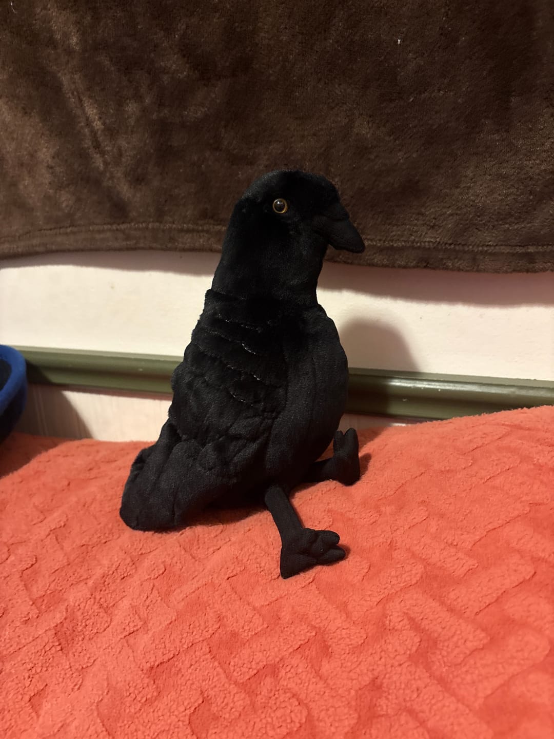 Customer photo review of American Crow Bird Soft Stuffed Plush Toy