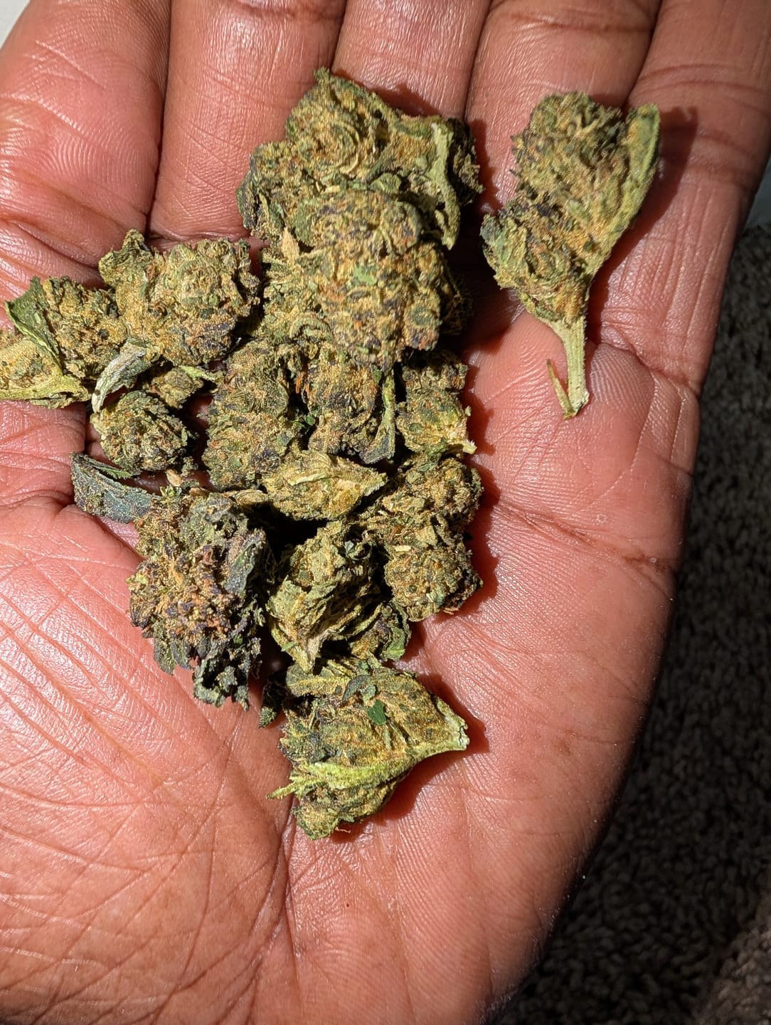Customer photo review of Lemon Fuel OG - Bulk - Hybrid