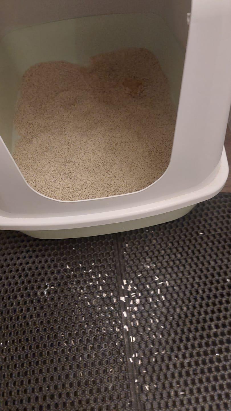 Customer photo review of Katzenstreu 2+1 Aktion