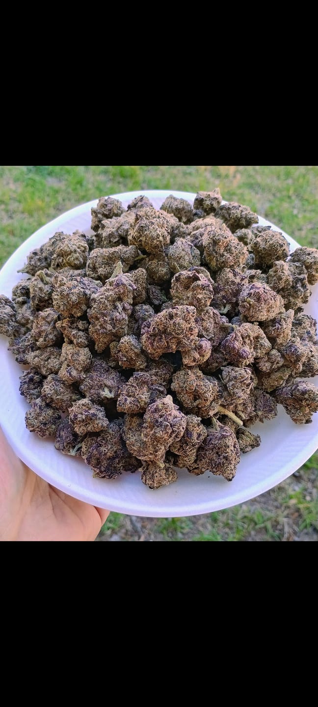 Customer photo review of Platinum Bubba - Bulk - Indica