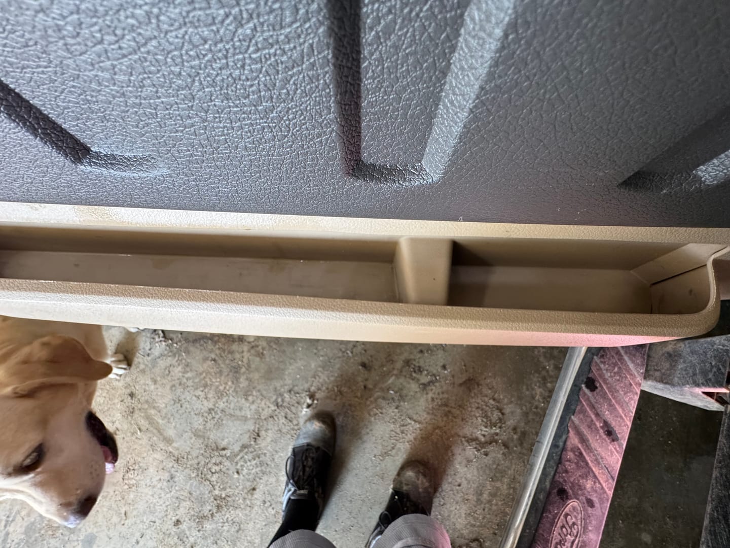Customer photo review of 13 Supplies® Freedom Fresh: Interior Cleaning Spray with Scent Booster