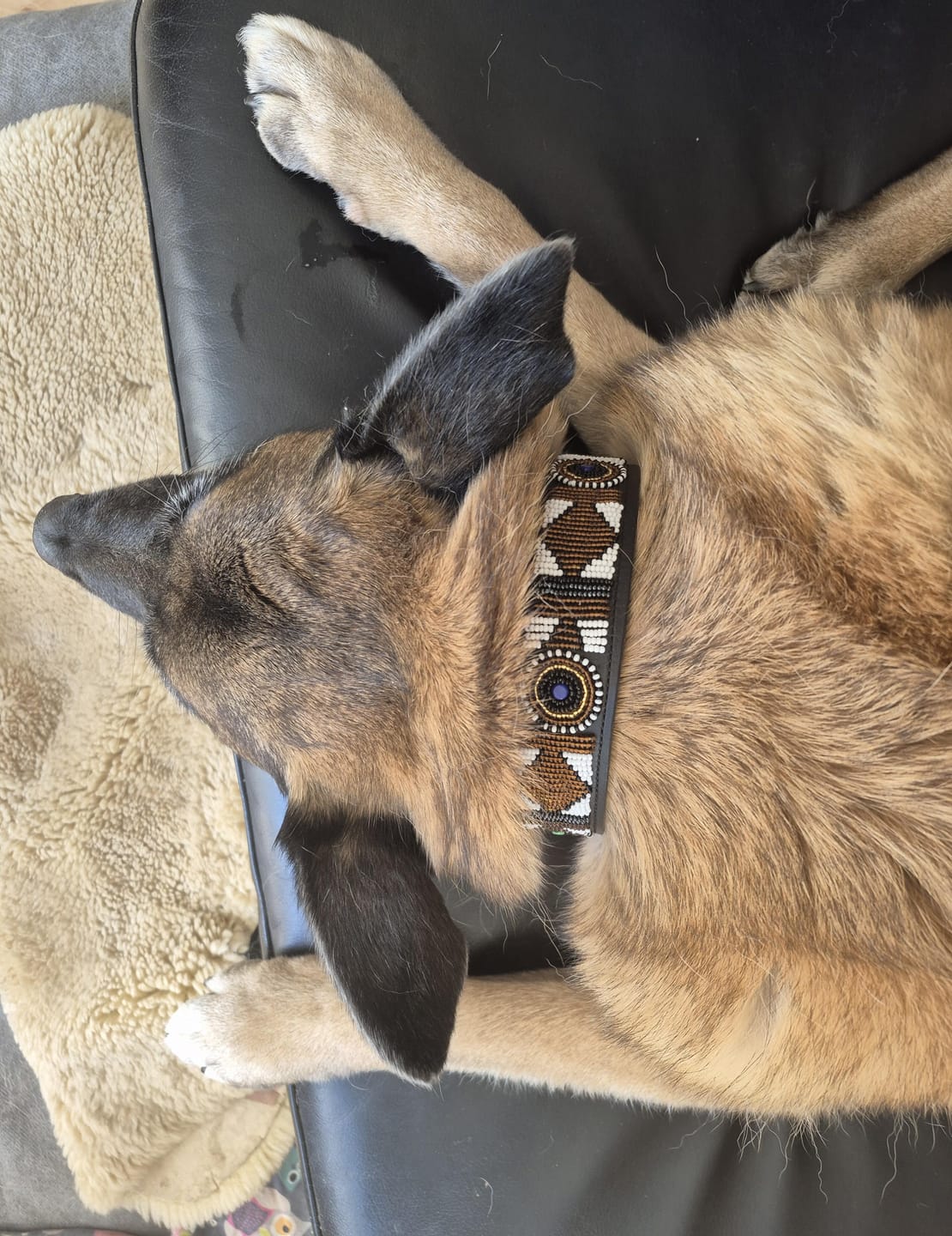 Customer photo review of Hundehalsband Perlen Maasai Kollektion (alle Designs)