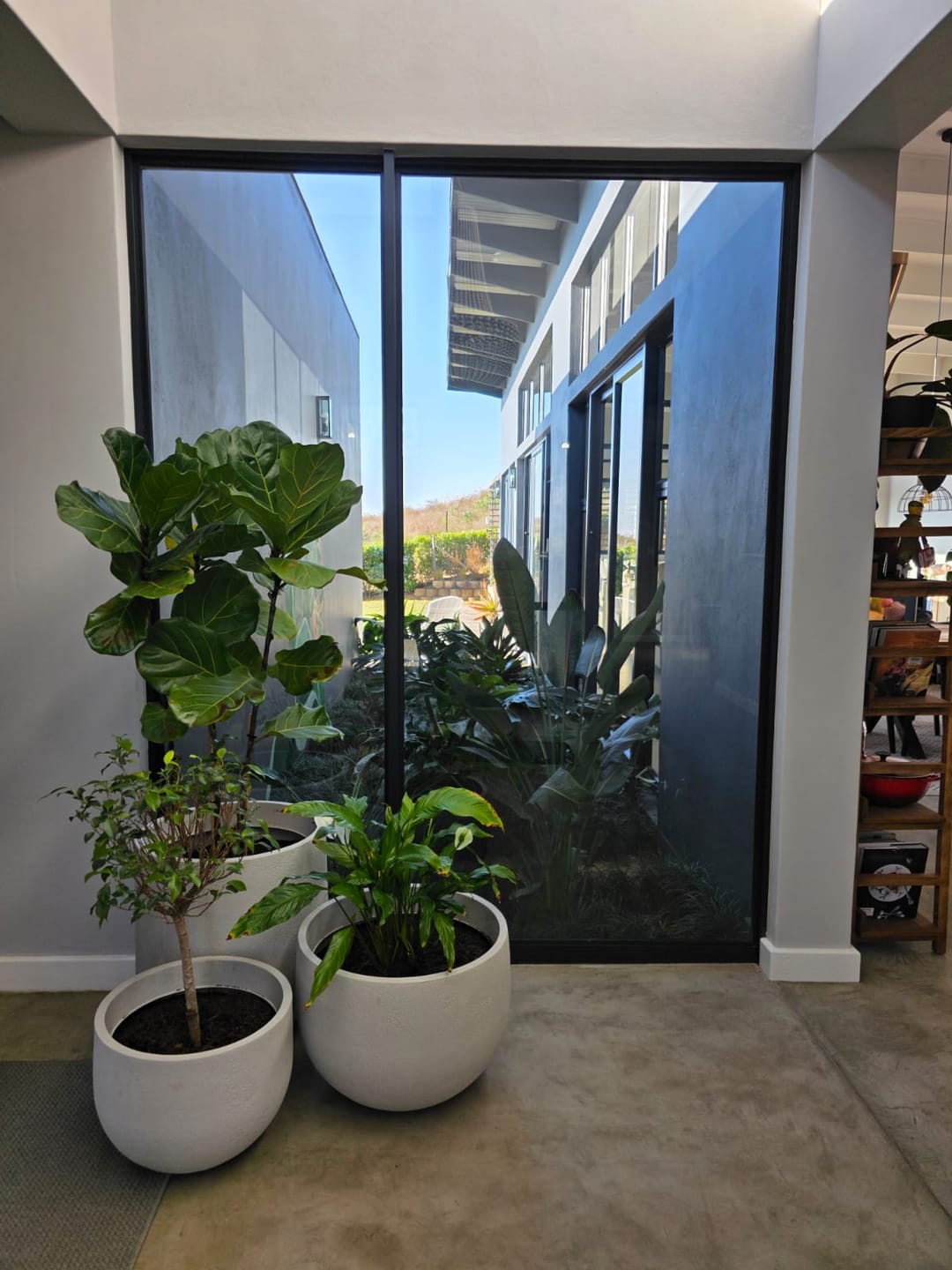 Customer photo review of Rustic Cask Japi Planter