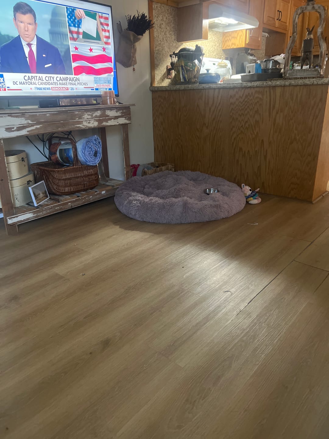 Customer photo review of The Original Fluffy Bean® Pet Bed