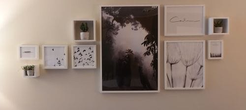 Customer photo review of Forever Dream
