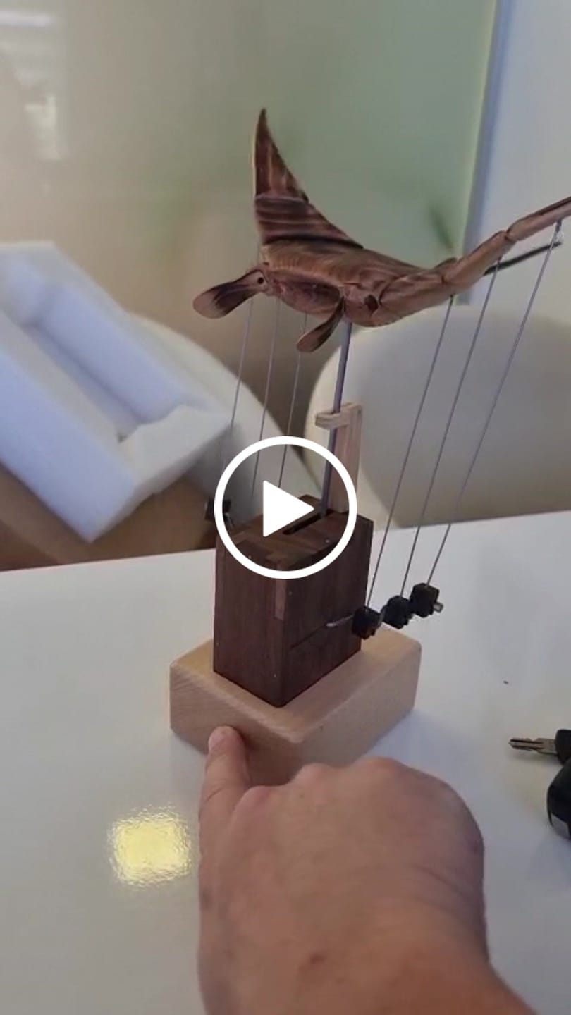 Customer video review of MarinerPoet™ Handcrafted Wooden Manta Ray Automaton