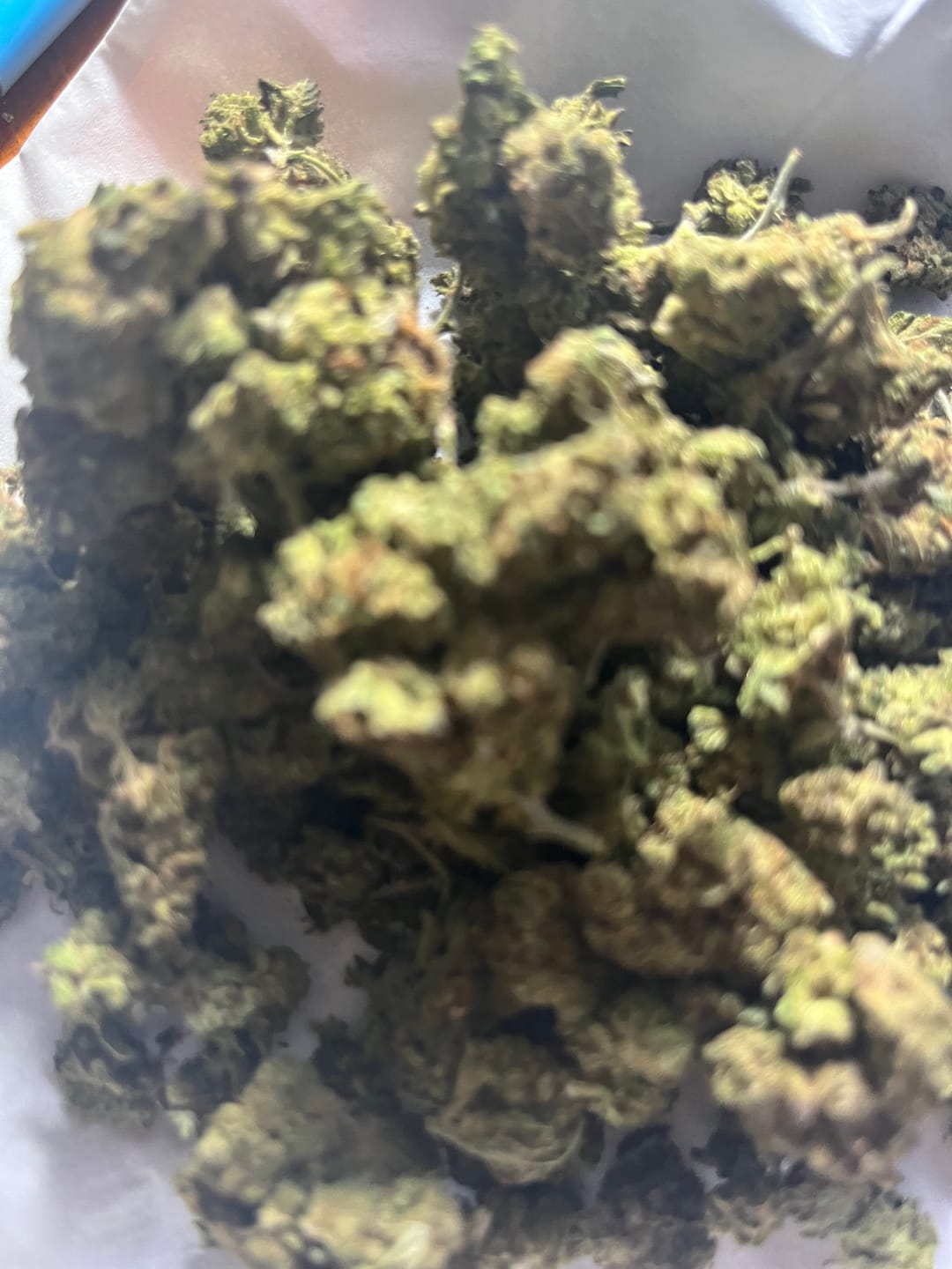 Customer photo review of Blackberry Kush - 28 Grams Littles - Indica