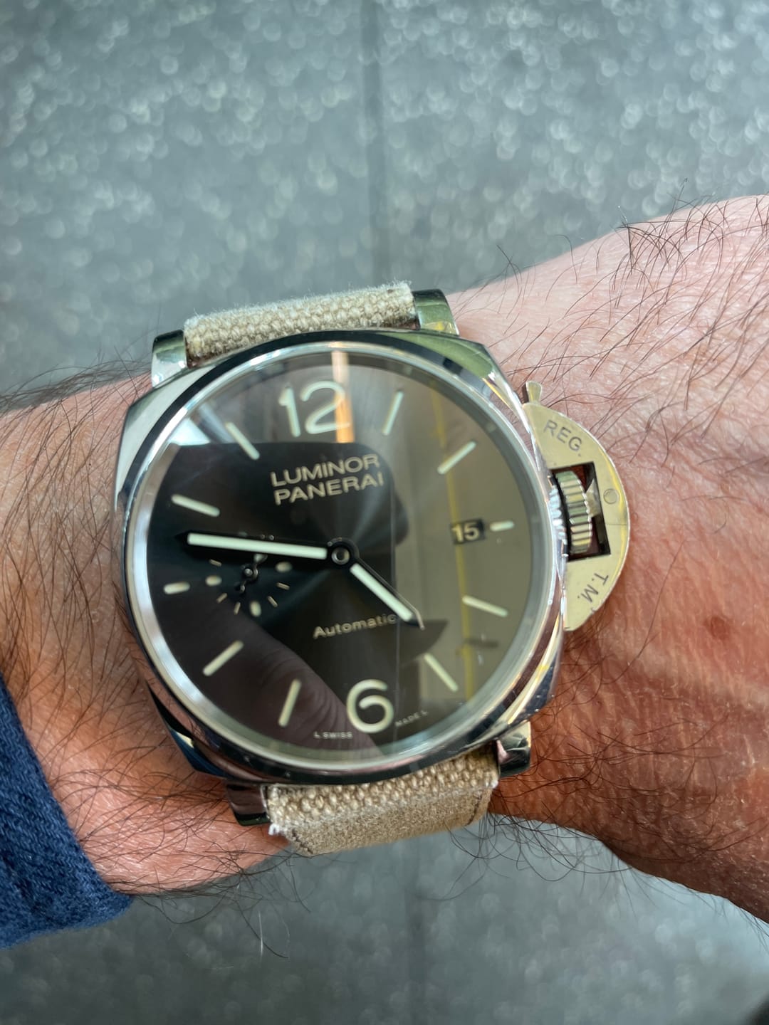 Customer photo review of Rocco Canvas