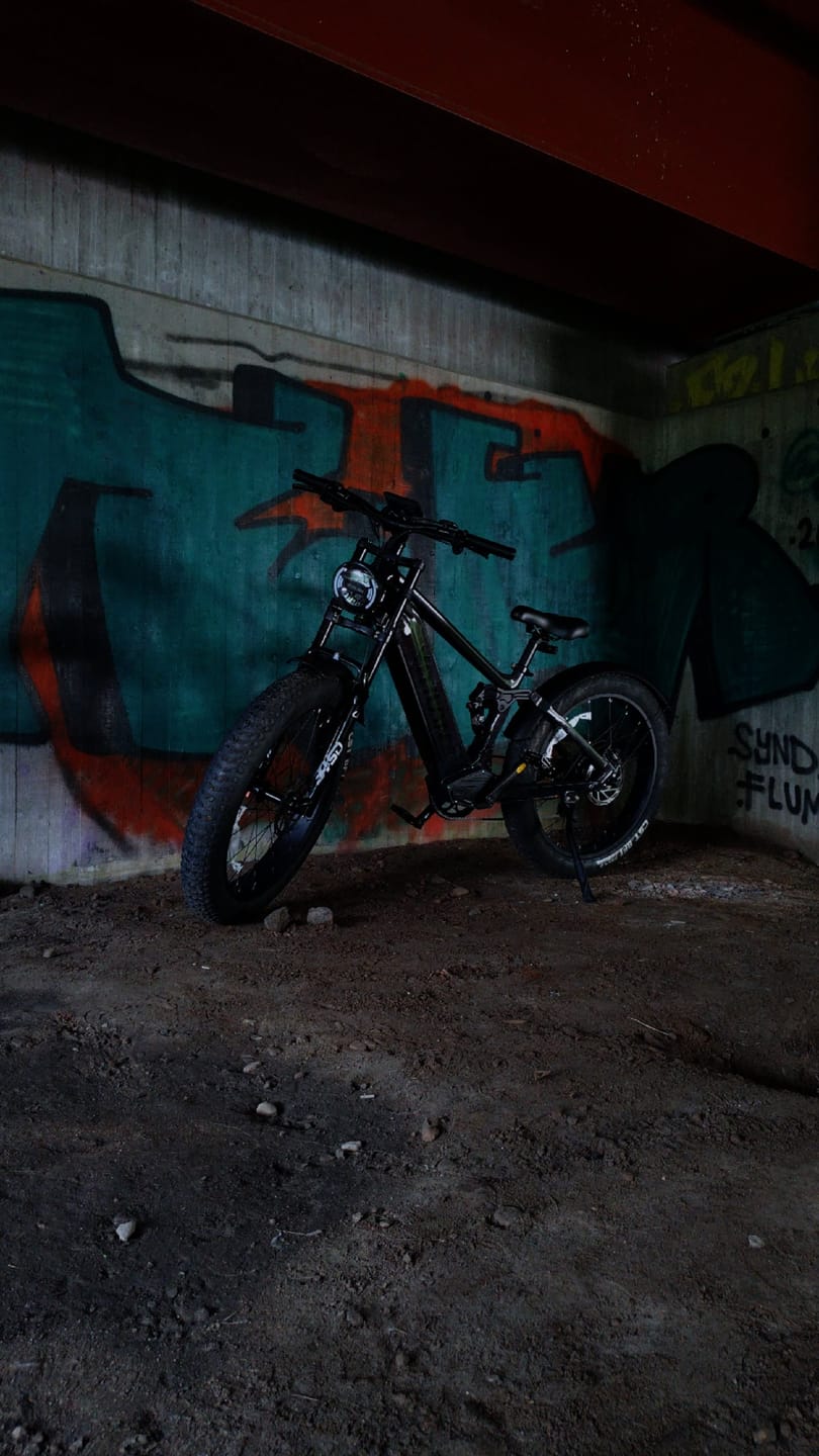 Customer photo review of T7PRO Full Suspension Mountain E-bike