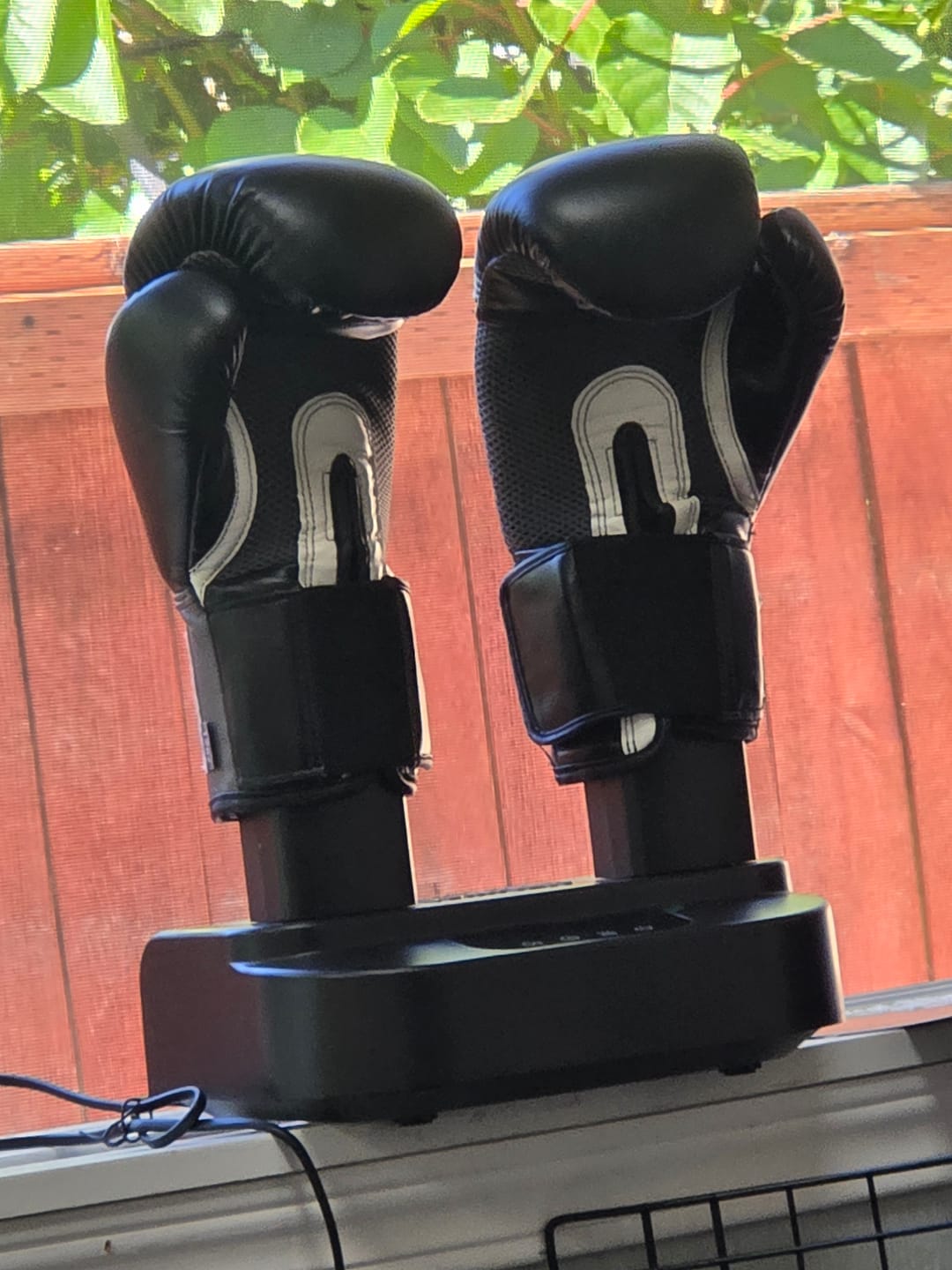 Customer photo review of The Glove Purifier V2 with Thermal Heating and O3-Enabled Active Technology Built for Preserving Boxing Gloves
