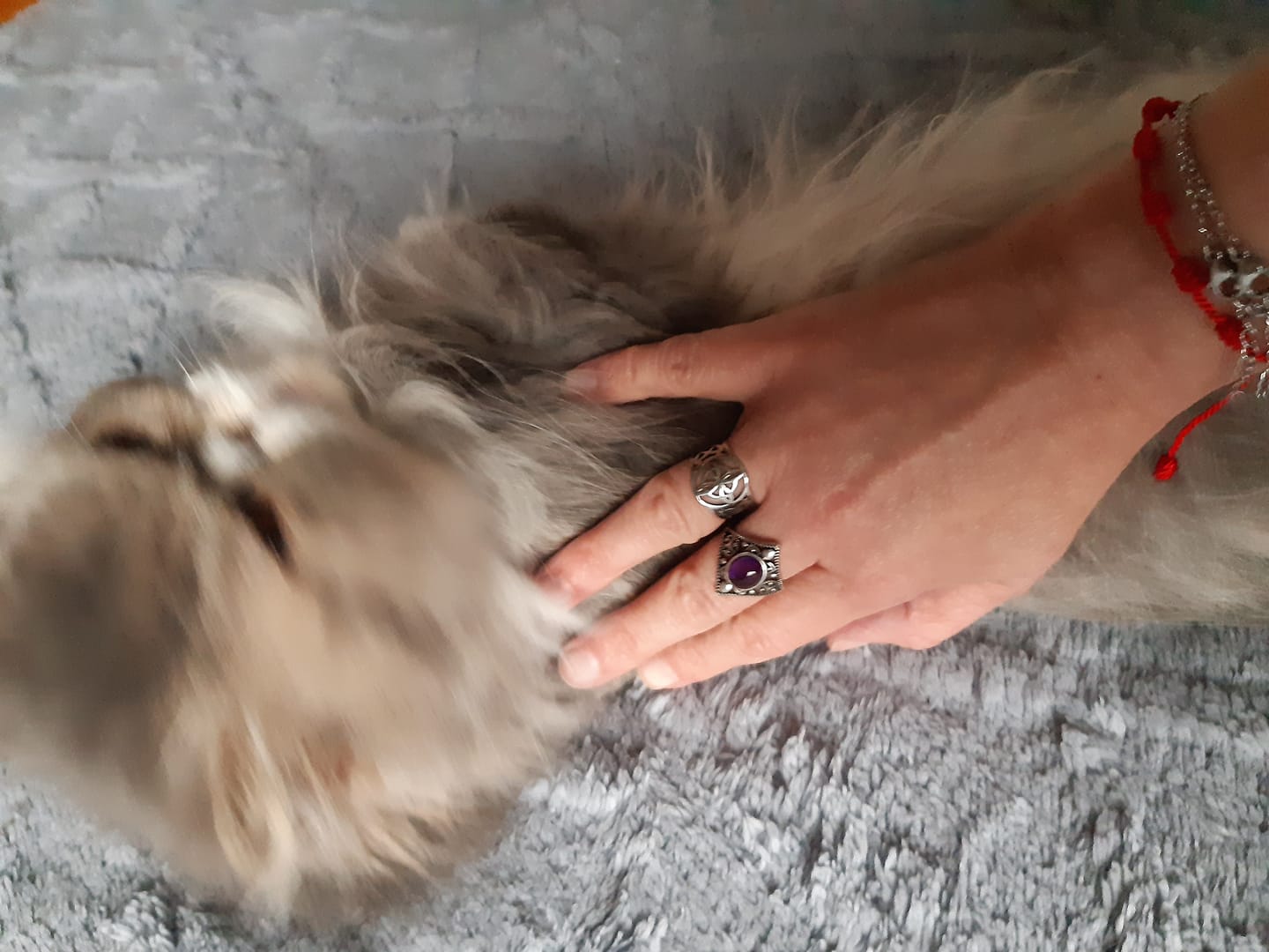 Customer photo review of Bague "Oracle Violet" en Améthyste