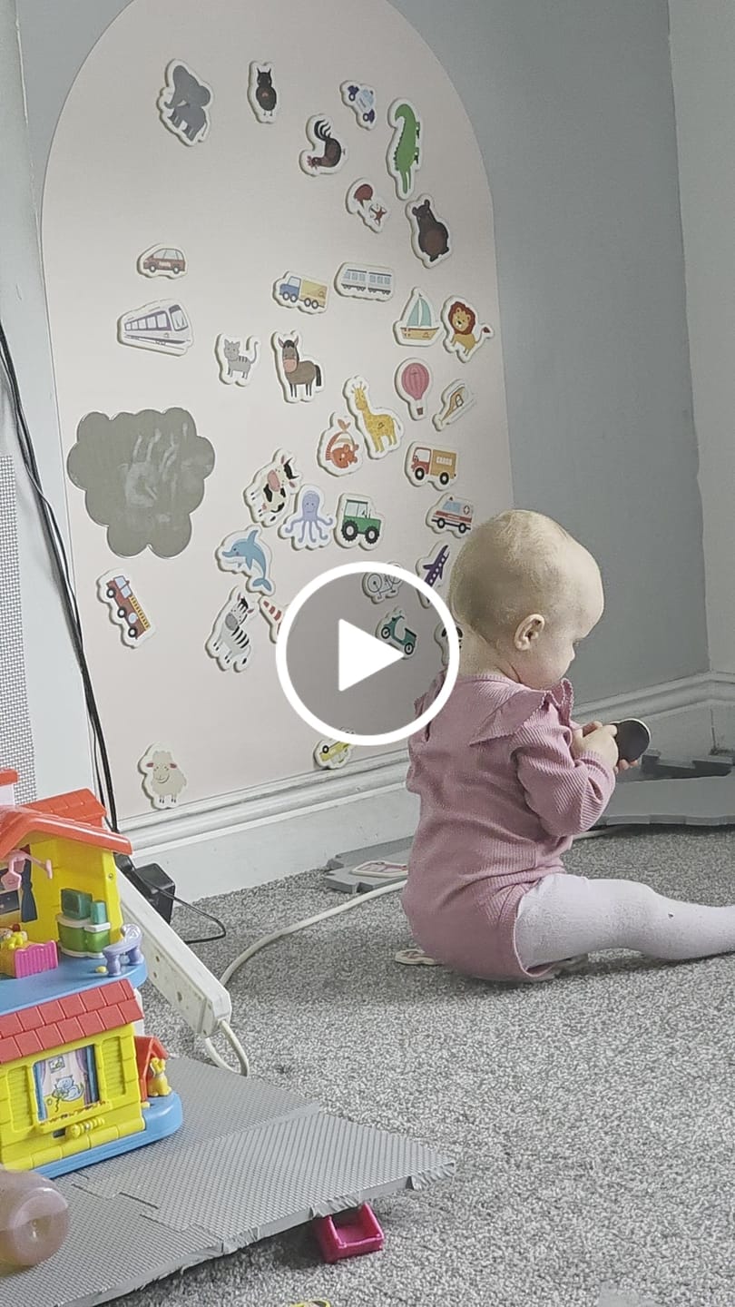 Customer video review of Meet The Animals (set of 20)