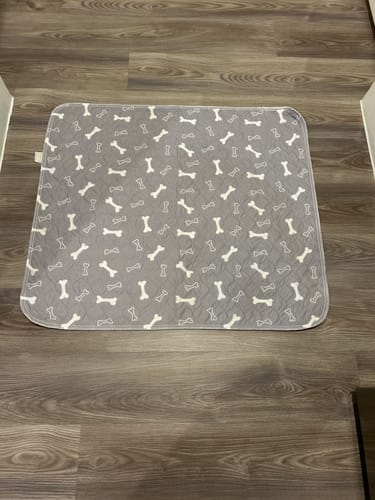Customer photo review of 6 PUP PADS