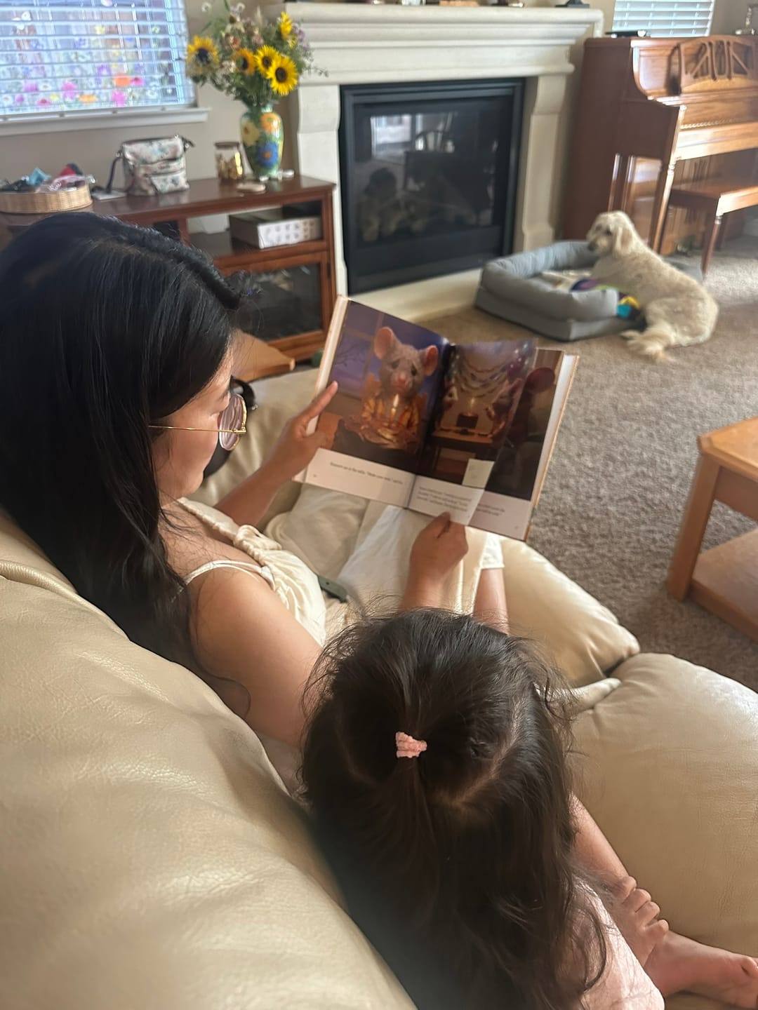 Customer photo review of Wallington Mice Birthday Tales Hardback Book with Mouse Hole Decals
