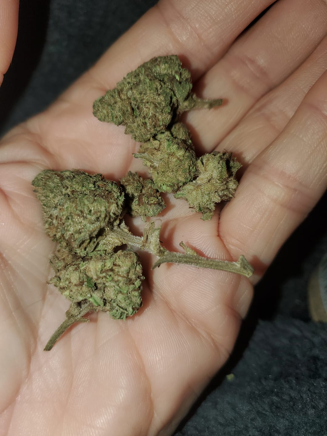 Customer photo review of Raspberry Kush - 4 Grams - Indica