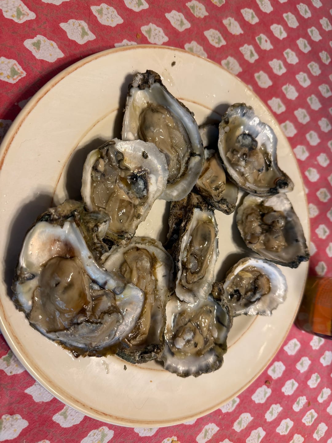 Customer photo review of The OysterClamp 2.0