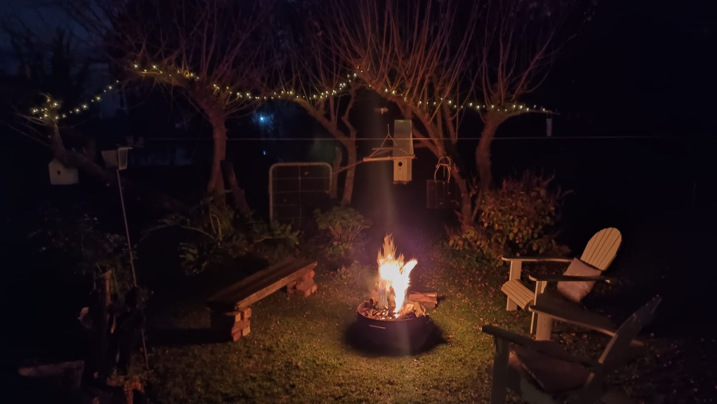 Customer photo review of Black String Solar Fairy Lights