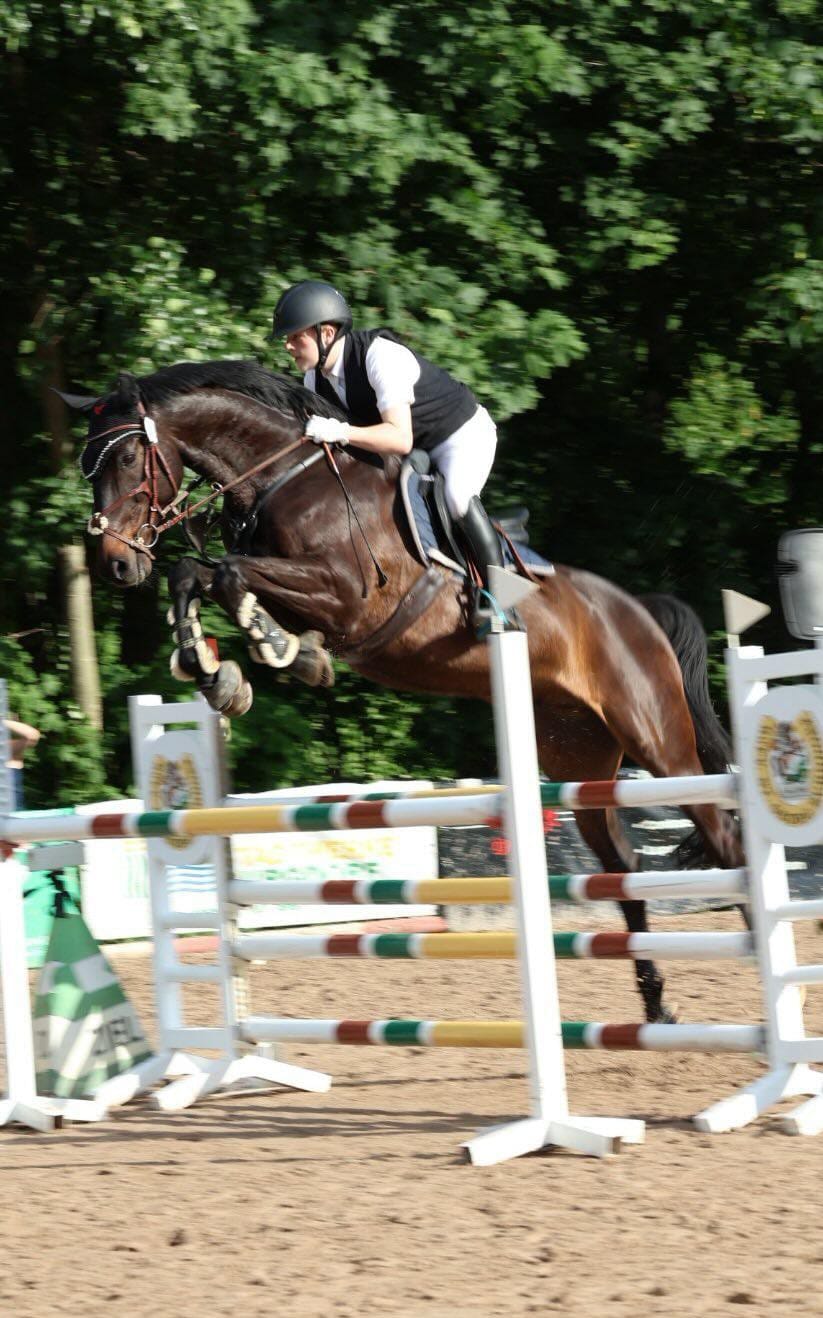Customer photo review of Strotonin Horse Support