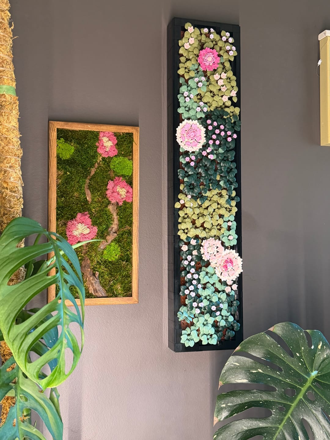 Customer photo review of Sakura Moss Garden