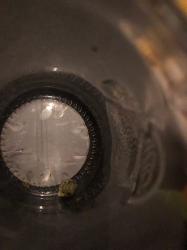 Customer photo review of Snowing Candy IceFlash -THCa Flower