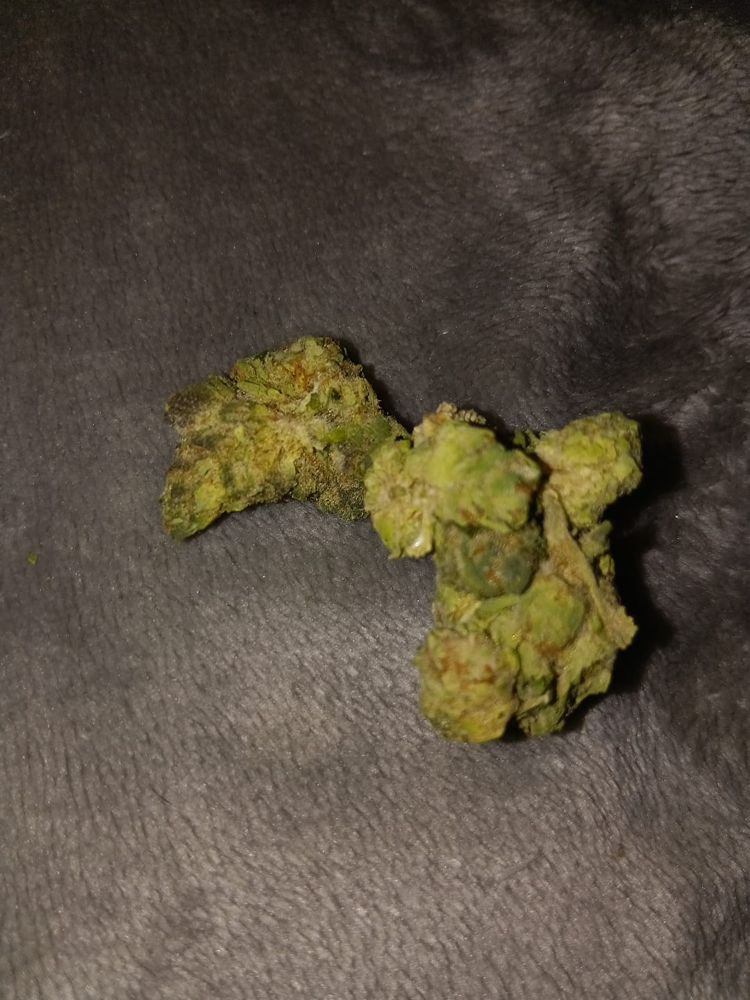 Customer photo review of 10 oz Biscotti THCA Flower (Budget)