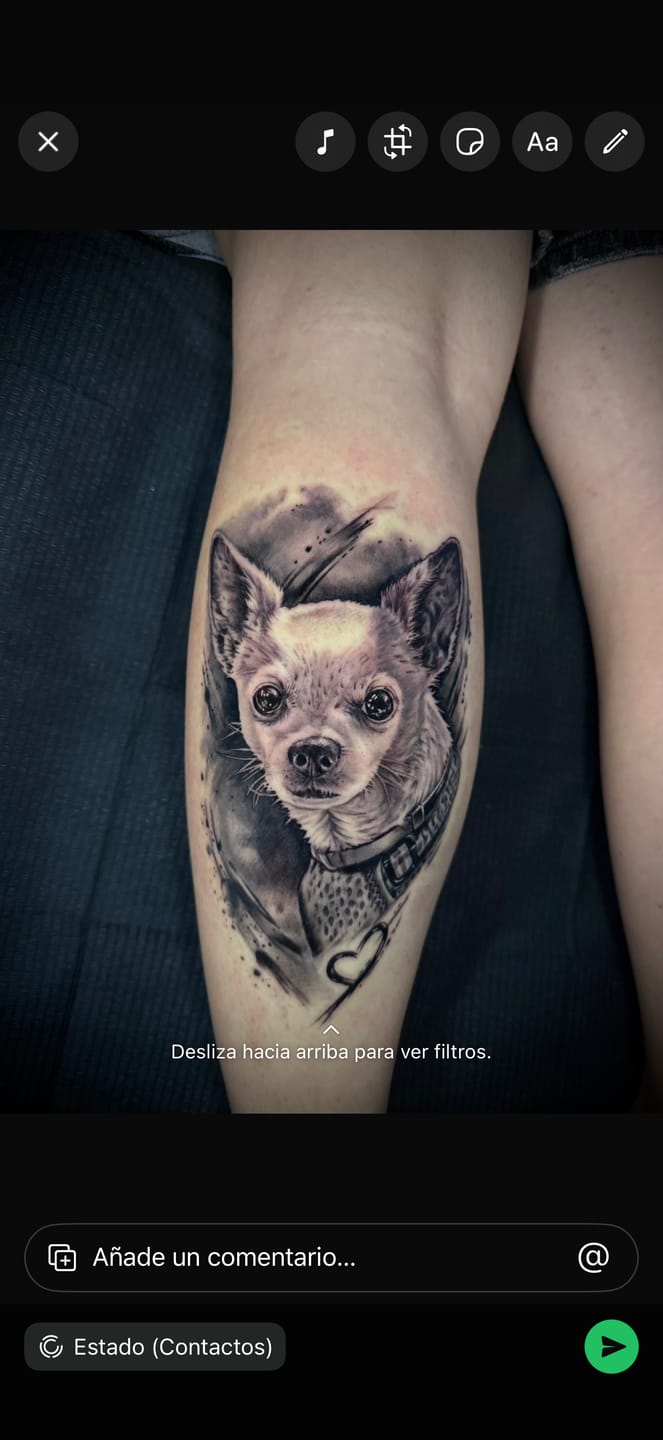 Customer photo review of JCONLY VETAR Tattoo Cartridge Needles Round Liner