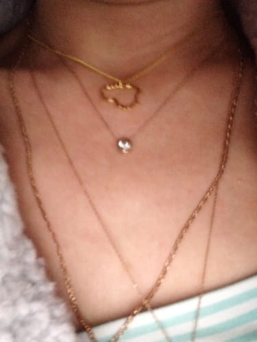 Customer photo review of Paauksuotas Sidabrinis pakabukas "Lietuva"