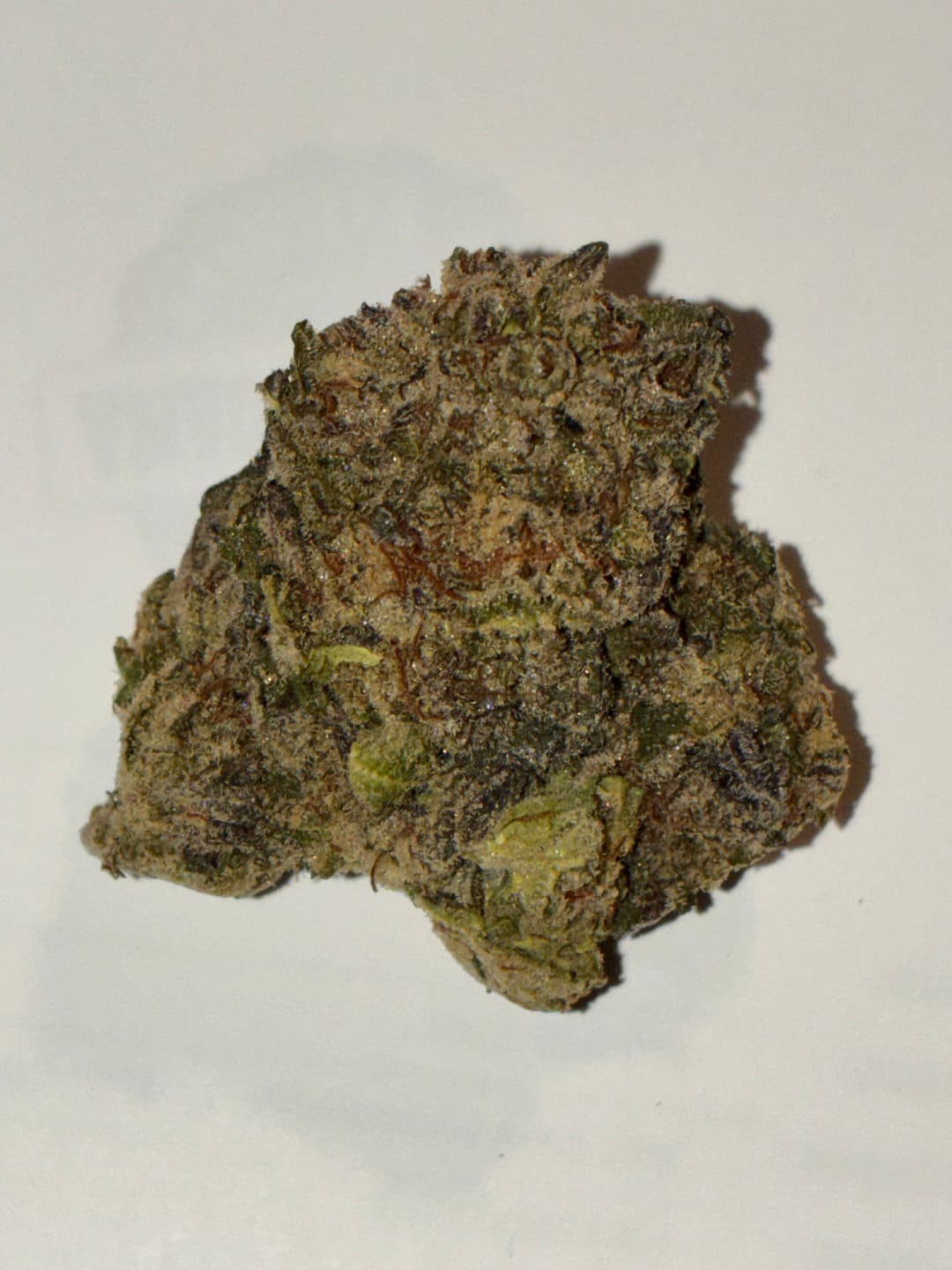 Customer photo review of Truffle Indoor - Bulk - Indica