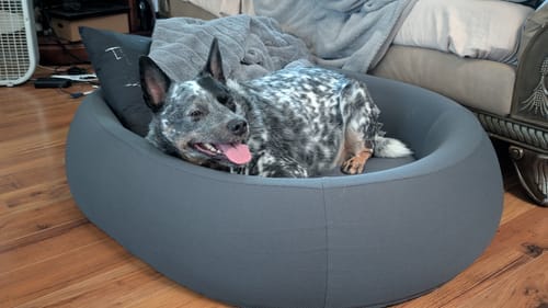 Customer photo review of Brooklyn® Nest Dog Bed (Orthopaedic Memory Foam)