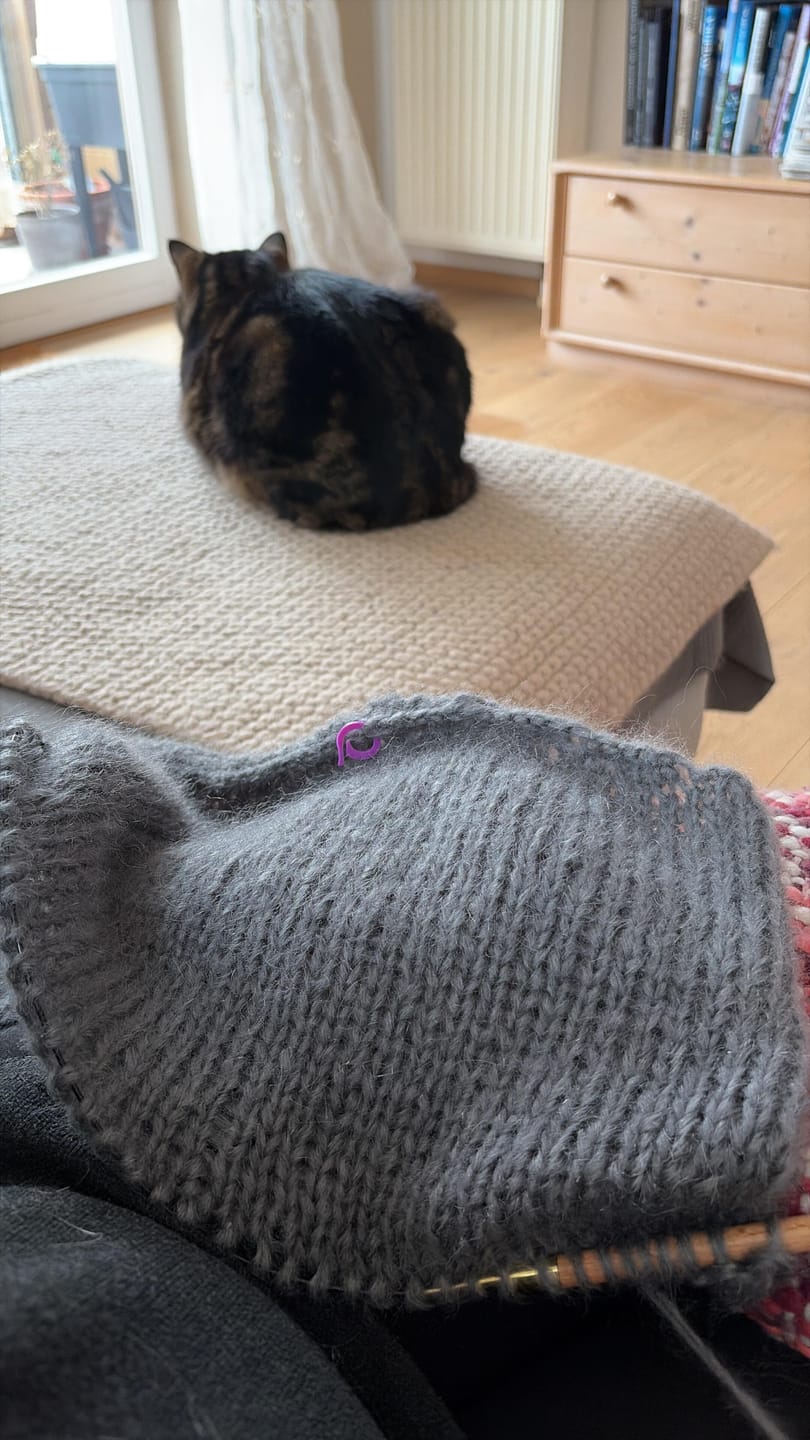 Customer photo review of Strickanleitung - Quickyslipover