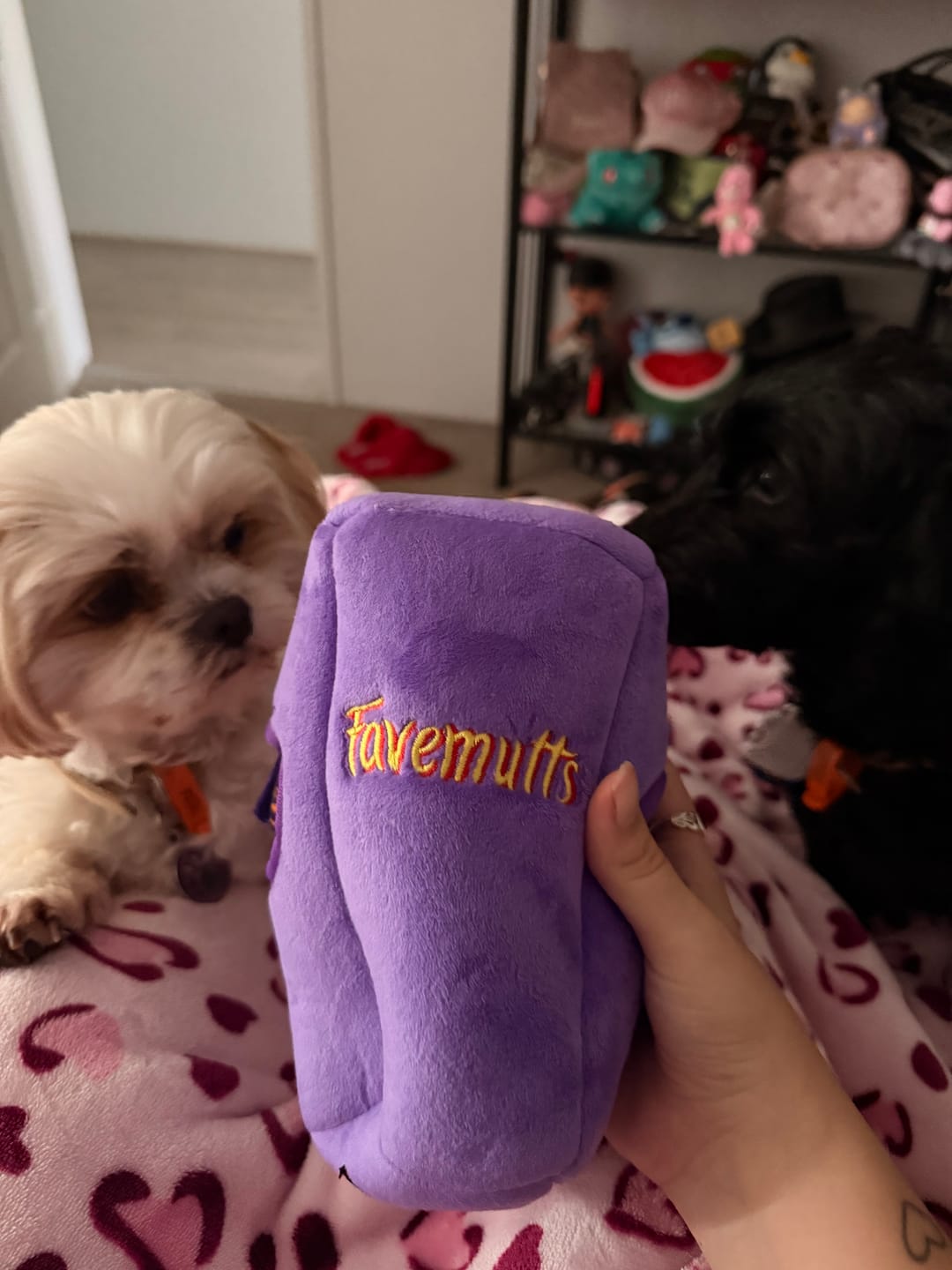 Customer photo review of BURROW TOY - FAVEMUTTS