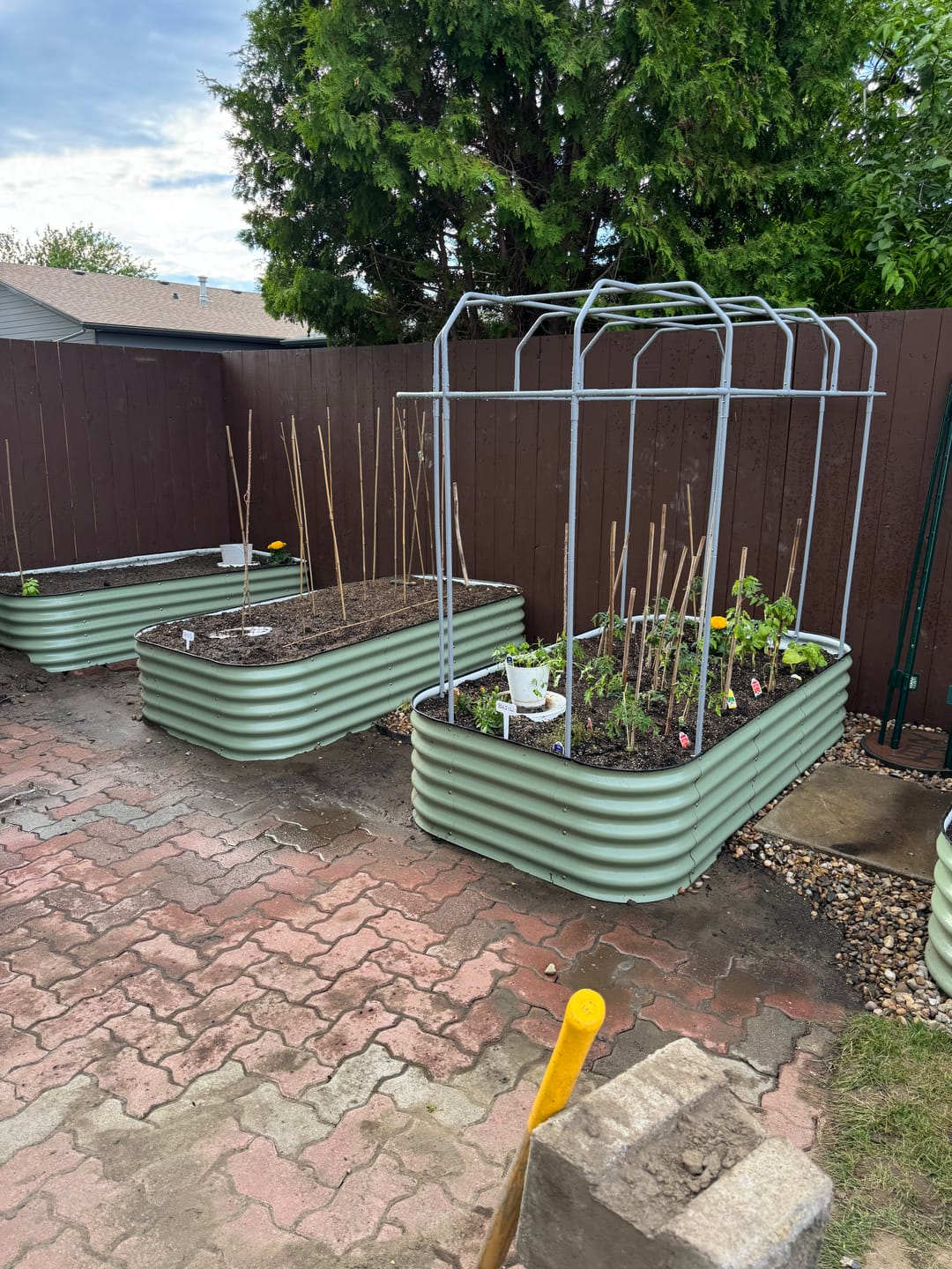 Customer photo review of Garden Cover System