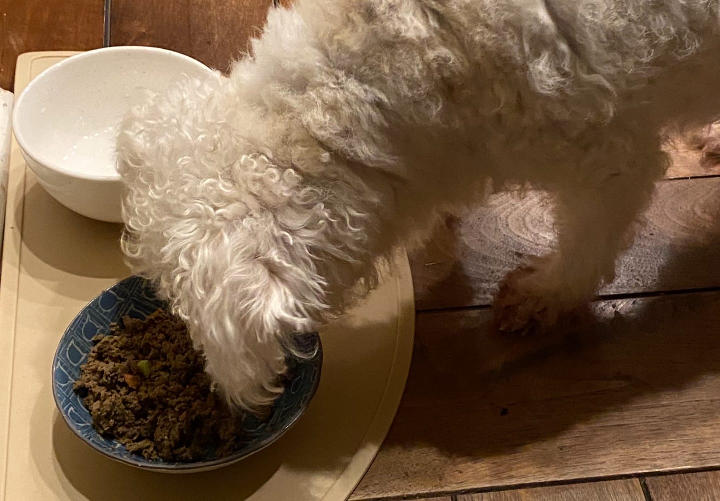 Customer photo review of Chicken Recipe for Dogs - 16oz