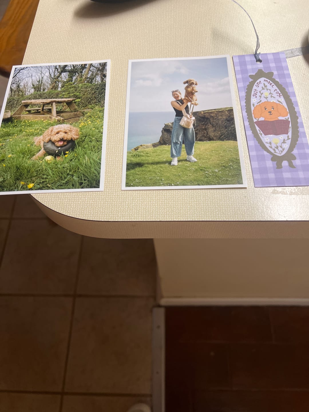 Customer photo review of Royal Pawst Membership