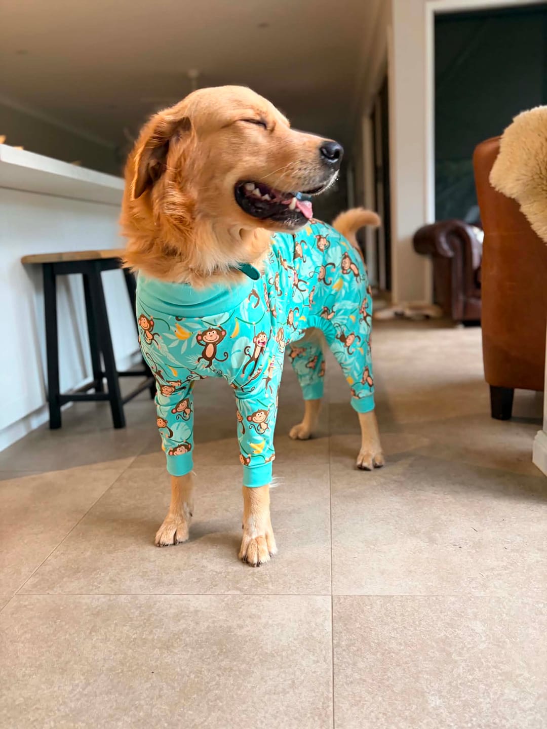 Customer photo review of Dog Pajama - Monkey Business
