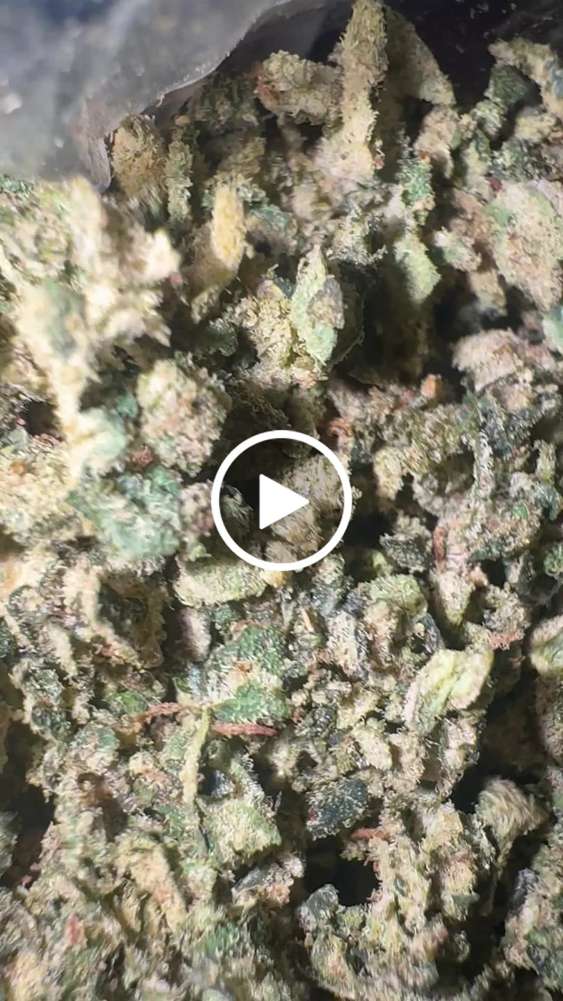 Customer video review of No 6. Purple Cake THCa Shake (Wholesale)